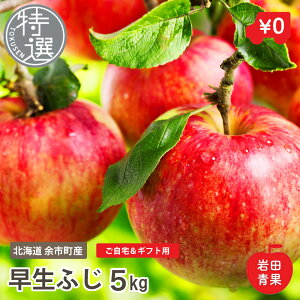 y\̔z ӂ I kC ]sY c   S ь 킹ӂ V Y kC Y ]s { ʕ  t[c  v[g 蕨   Mt
