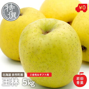 y\̔z  I kC ]sY  S ь  IE  kCY Y ʕ   t[c lߍ킹 v[g j 蕨  p