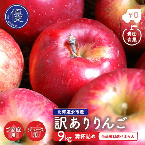 yʌz ]sY W[Xp  9kg 20-40 iws kC ]sY A َqp ƒp tl c 󂠂  킯 󂠂胊S LY ь 