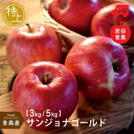青森県産 サンジョナゴールド 特上 りんご リンゴ 林檎 ジョナゴールド 青森 国産 果物 お取り寄せ くだ…