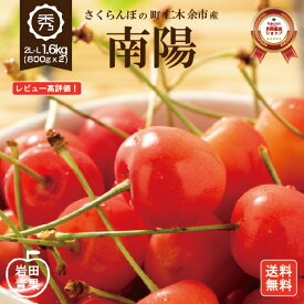 【予約販売】 南陽 さくらんぼ 1.6kg 【クール冷蔵便】 早割 2L〜Lサイズ 秀品 送料無料 北海道 余市 フルーツ 果物 訳あり じゃありません！ グルメ お中元 ギフト 贈り物 くだもの 北海道産 農家直送 プレゼント 岩田青果