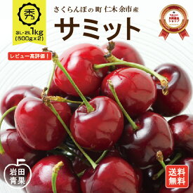 【予約販売】 サミット さくらんぼ 1kg 【7月中旬頃出荷予定】 3L〜2Lサイズ 秀品 送料無料 北海道 余市 フルーツ 果物 お取り寄せ グルメ お中元 御中元 ギフト 贈り物 くだもの 北海道産 プレゼント 旬 7月 予約販売