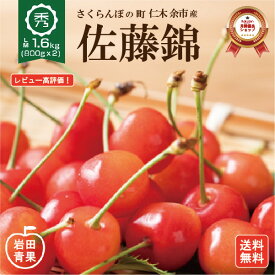 【予約販売】 さくらんぼ 佐藤錦 1600g 【クール冷蔵便】 早割 秀品 お中元 北海道 仁木 余市産 LMサイズ 2箱購入で割引あり 岩田青果 さとうにしき サクランボ 果物 くだもの フルーツ 人気 北海道産 北海道 余市 農家直送 プレゼント 贈り物