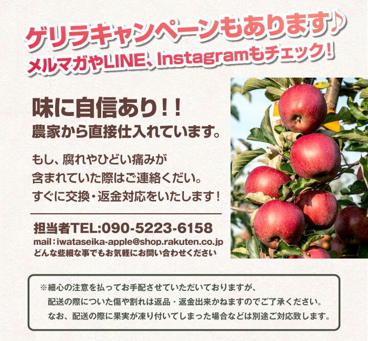 楽天市場】＼限定40箱⇒980円OFF！／ 余市産 訳アリりんご ジュース用 