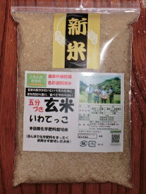 【発送中】五分づき玄米5kg×1袋★送料無料（沖縄除く）★玄米が流行中●【品種-いわてっこ】いわてひろファーム関口農園のこだわり米【田んぼで化学肥料ゼロのお米】遠赤外線乾燥・色彩選別済・三分づき、七分づき対応いたします【RCP】