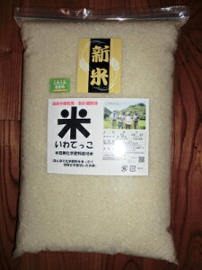 VāE10kg×1܁iꏜjy茧ˎsYEE蕨EƒpEi-ĂzĂЂt@[֌_̂āycڂŉw엿[͔|̂