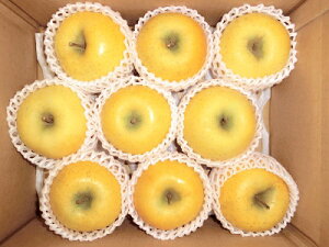 y\񒆁zy8`9ʁE3kgEI񂲁iVimS[hjzyiꏜjzΕE蕨EyYEĂЂt@[@_̂ijSE11