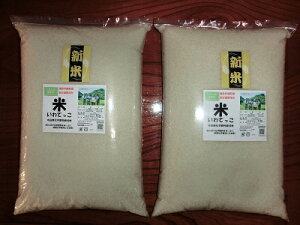 VāE10kg×2܁iꏜjy茧ˎsYEE蕨EƒpEi-ĂzĂЂt@[֌_̂āycڂŉw엿[̂āz