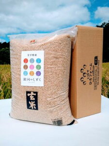 【◎新米予約!】令和7年産★小笠原農園の「銀河のしずく」玄米10kg慣行栽培★送料無料(沖縄除く)数量限定 【岩手県二戸市産・御礼・贈り物・ご家庭用】【米穀検査済1等米100%使用】【RC