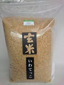 令和7年産★小笠原農園の「いわてっこ」玄米5kg慣行栽培★送料無料（沖縄除く）数量限定 【岩手県二戸市産・御礼・贈り物・ご家庭用】【米穀検査済1等米100%使用】【RCP】