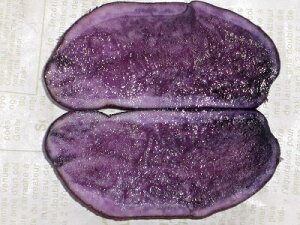 yzIiႪ10kgiVh[NC[jETCYjiꏜjv[gtyɂ̂ւႪu`viVh[NC[jzy茧ˎsYEʌ