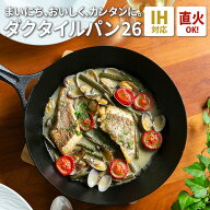岩鉄鉄器 ダクタイルパン26 鉄器 フライパン 鍋 26cm IH・ガス火対応 ポット アウトドア iwatetsu tekki …