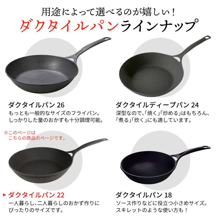 楽天市場】岩鉄鉄器 ダクタイルパン22 鉄器 フライパン 鍋 22cm IH 