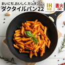 岩鉄鉄器 ダクタイルパン22 鉄器 フライパン 鍋 22cm IH・ガス火対応 ポット アウトドア iwatetsu tekki 送料無料 公式 直営店商品　※お陰様でご好評につき、1.5カ月を目安に配送となります。※