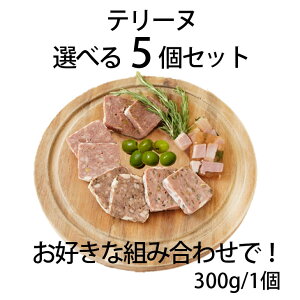 e[kIׂ5Zbg Ⓚ Y ^pbN 300g×5 e[k terrine Mtg p[eB[ e[k  ܂  ƈ v[g H~̏H NX}X Ε