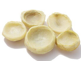 楽天市場 アーティチョーク 野菜 きのこ 食品 の通販 楽天市場 アーティチョーク 野菜 きのこ 食品 の通販