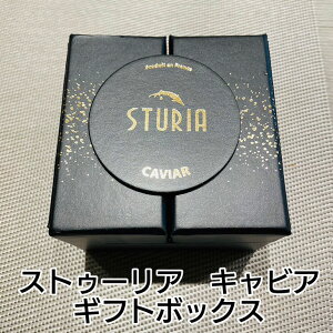XgD[ALrA Mtg{bNX [Be[W/AVFg] tXY LrA Mtg p[eB[ a  v[g LO H :LrA͕tĂ܂