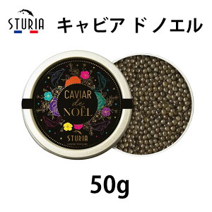 _^XgD[A LrA h mG 50g \̔ ō `EU  H  ܂ EO咿 tXY O Mtg 蕨 v[g  j