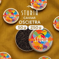 キャビア ストゥーリア (STURIA) オシェトラ 50g 250g アルカン フレッシュ フランス 予約販売 最高級 チ…