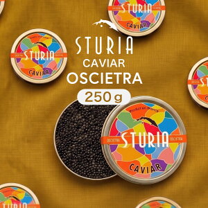�L���r�A �X�g�D�[���A (STURIA) �I�V�F�g�� 50g 250g �A���J�� �t���b�V�� �t�����X �\��̔� �ō��� �`���E�U�� ���� �����H�� ���� ���܂� ���E�O�咿�� �t�����X�Y �O���� �M�t�g ���蕨 �v