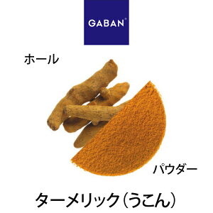 y󒍔izGABAN ^[bNijpE_[Ez[ Mo Ɩp ƒp e[up  v[g Mtg H~̏H NX}X Ε