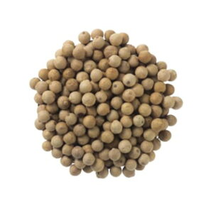 y󒍔izGABAN zCgybp[ z[ e pE_[ Ӟ RVE /15g`1kg Mo Ɩp ƒp e[up  v[g Mtg H~̏H