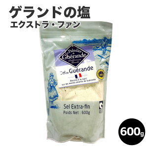 ゲランドの塩　エクストラ・ファン/600g 塩　ソルト 海塩 ゲランド 高級レストラン 食塩 salt フランス産