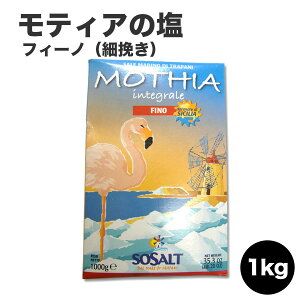 eBẢ T[ECeO[EtB[miה҂j/1kg \Tg  \g C eBA Xg H 1000g salt C^AY H~̏H