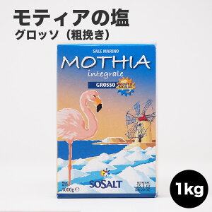 _}\^eBẢ T[ECeO[EOb\ie҂j/1kg \Tg  \g C eBA Xg H e 1000g salt C^AY H~̏H