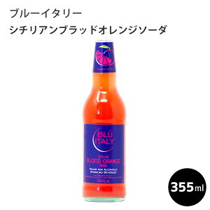 _|Cg2{^u[C^[ V`AubhIW\[_ 355ml C^AY z[p[eB BBQ  Mtg H~̏H NX}X Ε