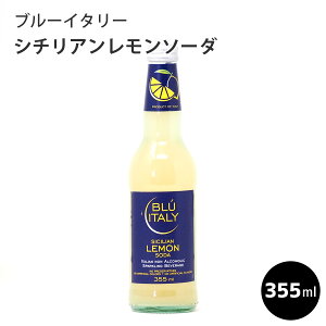 _}\^u[C^[ V`A\[_ 355ml C^AY z[p[eB BBQ  Mtg H~̏H