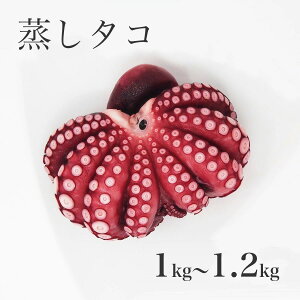 y^Rzy0.8kg`1kgi1Cjz^R  _R ^R 蕨 Mtg@H yRCPzⓀց@bRY H~̏H NX}X Ε