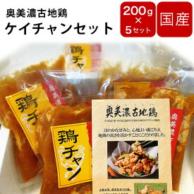 ＼楽天スーパーセール～6月11日（火） 01:59まで／鶏肉 国産【奥美濃古地鶏 ケイチャン】200g×5 【冷凍便】 【同梱不可】本州のみ送料無料 ギフト国産　岐阜県　鶏　パーティ　BBQ　地方グルメ　名産 父の日