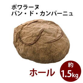 ポワラーヌ　パン・ド・カンパーニュ パン フランス パリ 真空パック お取り寄せ 母の日