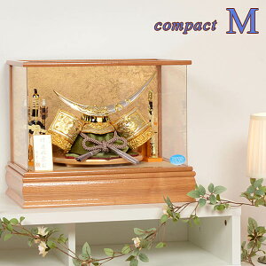 ܌l`  P[X RpNg yMz 㐙 ɒB [ ߋ  i` AN P[X