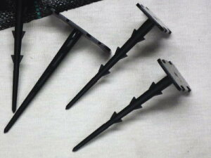 y݌ɂ̂݁zy20{z hV[gp ŒB 