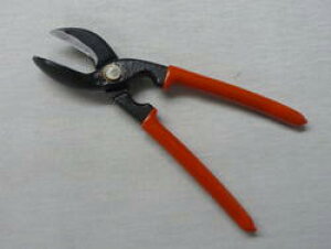 y݌ɏiz ݊ Ȃ񊄌p pbP[WɊꂠ