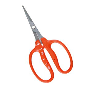 y[ zy6܂/1z `J}T XeX tbfH Ԃǂ nۃ^Cv B-500SLMF {