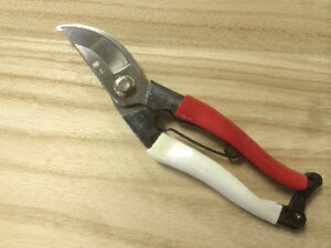 y[ zy3܂/1z n[g  200mm