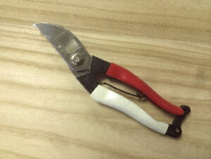 y[ zy3܂/1z n[g XeX  200mm