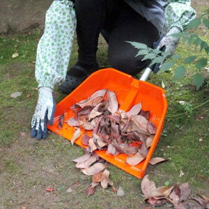 コンパル テーミー48