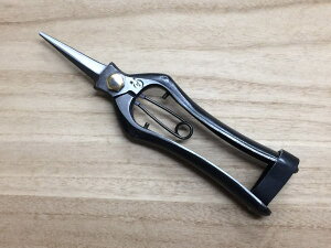 y[ցz 쑺 v  180mm n ~ R`Őn { b 葢