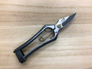 y[ցz 쑺 v  180mm Аn ~ R`Őn { b 葢