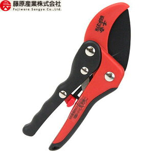 y[ zy2܂/1z Y g fB[XR 175mm SGP-27R