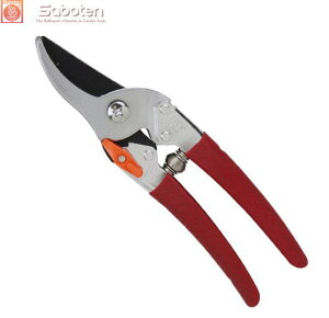 y[ zy2܂/1z T{e v^Cv 205mm No.1255