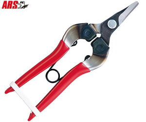 y[ zy4܂/1z AX c 310-D-K-BP  Ȑn