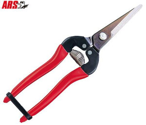 y[ zy5܂/1z AX E O^Cv 300L 