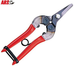 y[ zy5܂/1z AX ̉ 310 Ȑn 