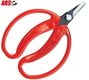 y[ zy8܂/1z AX ̎  430 ^ Ȑn^Cv ېn