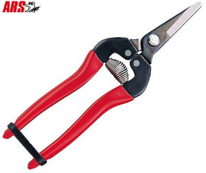 y[ zy5܂/1z AX E V[g^Cv 300S-BP